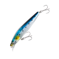 EXSENCE　サイレントアサシン　99S　フラッシュブースト(＃001　Nマイワシ)